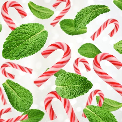 Taboom Mini Candy Cane Individually Wrapped 100 Pack