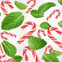 Taboom Mini Candy Cane Individually Wrapped 50 Pack