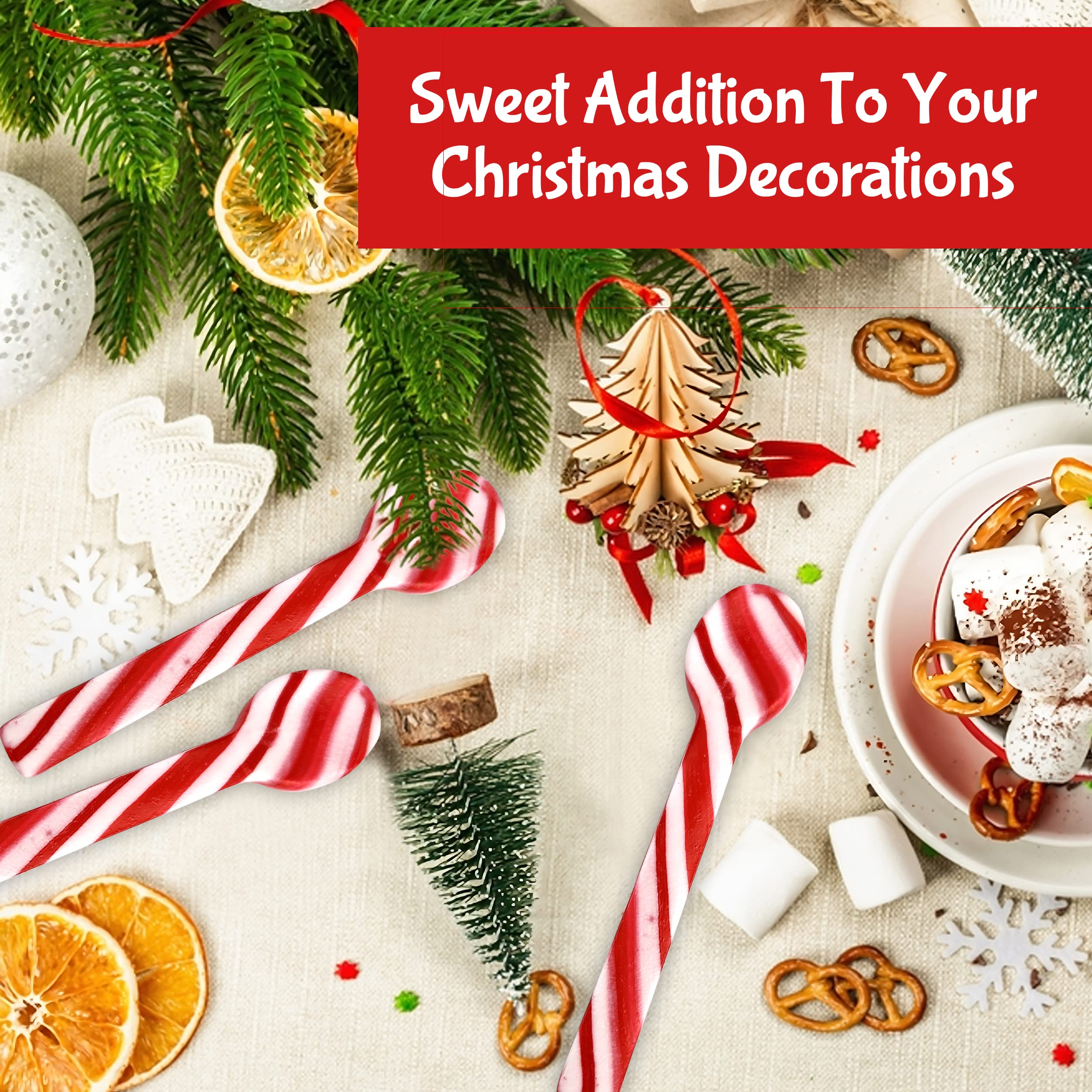 Taboom Peppermint Spoons Bulk Pack of 48