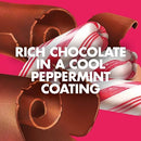 LUNA Bar Chocolate Peppermint Stick Flavor 12 Pack