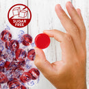 Sugar Free Hot Cinnamon Hard Candy Discs 1 Pound