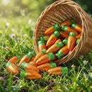Milk Chocolate carrots 1lb Easter Candy