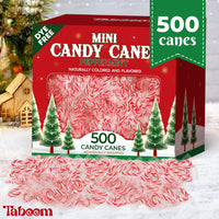 Taboom Mini Candy Cane Individually Wrapped 500 Pack