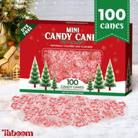 Taboom Mini Candy Cane Individually Wrapped 100 Pack