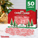 Taboom Mini Candy Cane Individually Wrapped 50 Pack