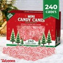 Taboom Mini Candy Cane Individually Wrapped 240 Pack