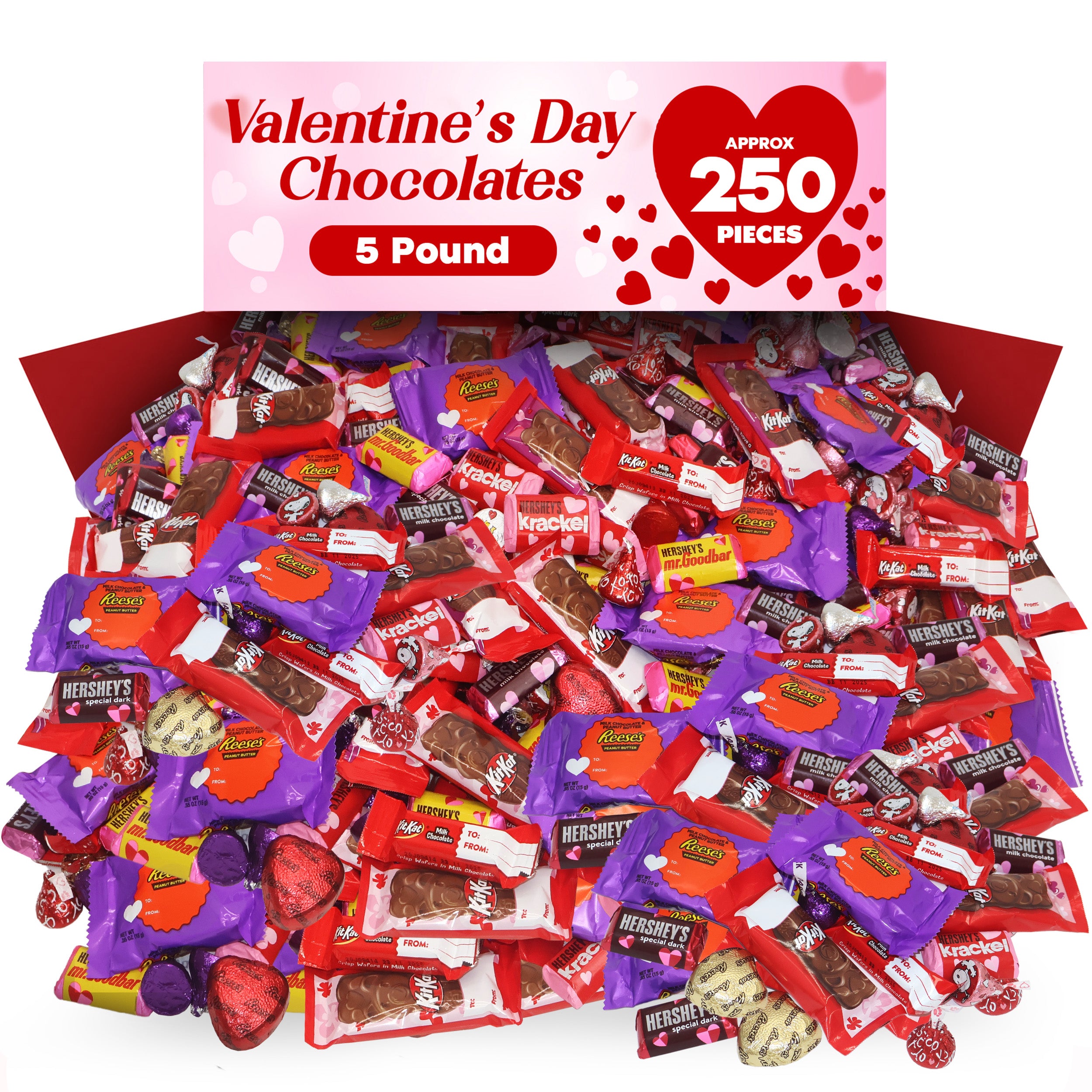 Valentine's Day Chocolate Candy Variety 5 Pound