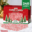 Mini Candy Cane Individually Wrapped 240 Pack