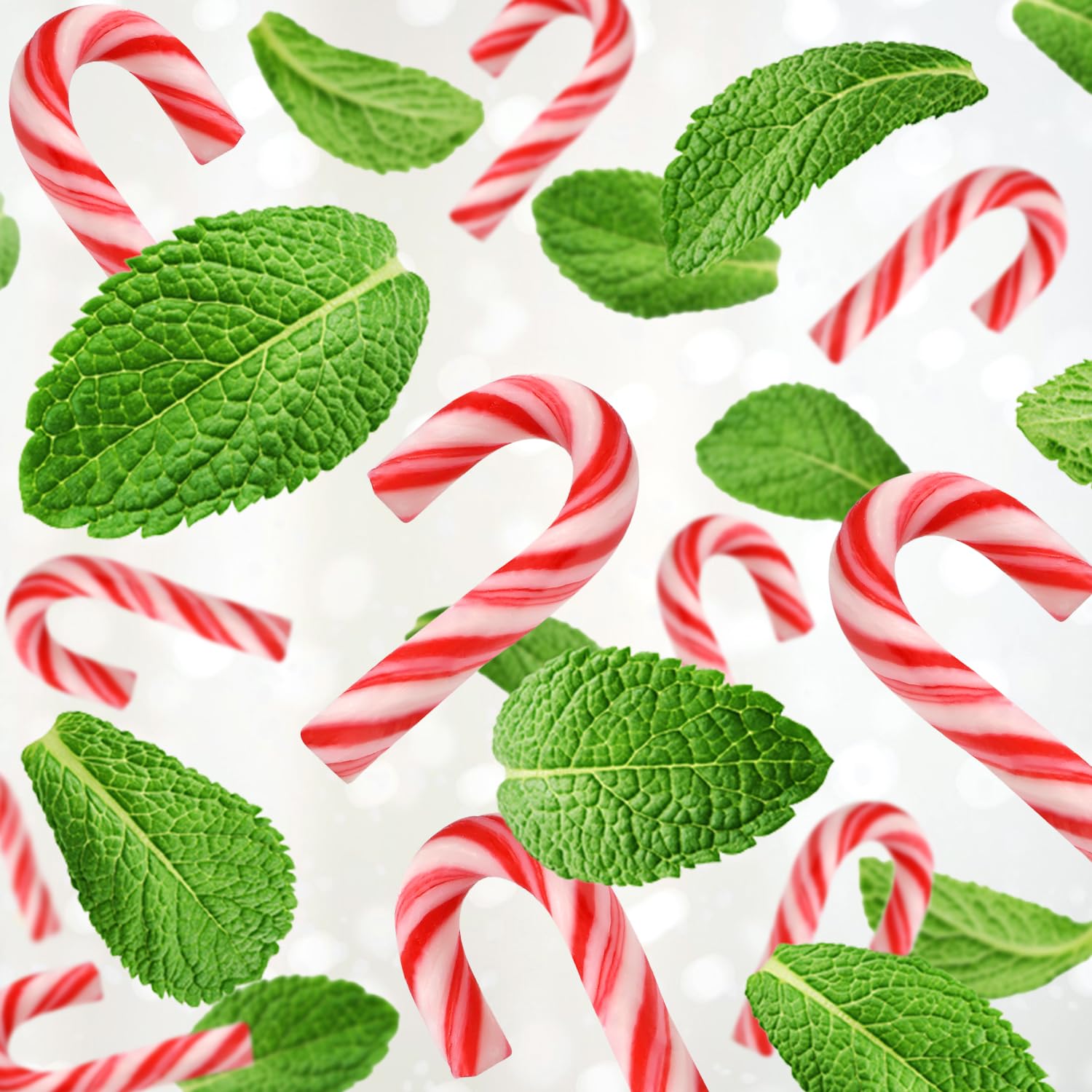 Mini Candy Cane Individually Wrapped 50 Pack